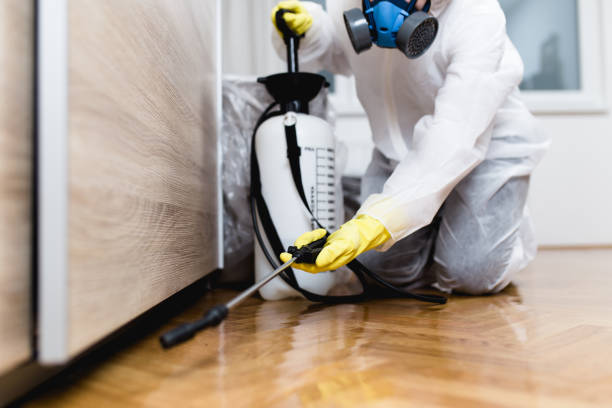 Best Commercial Pest Control Services  in Schriever, LA