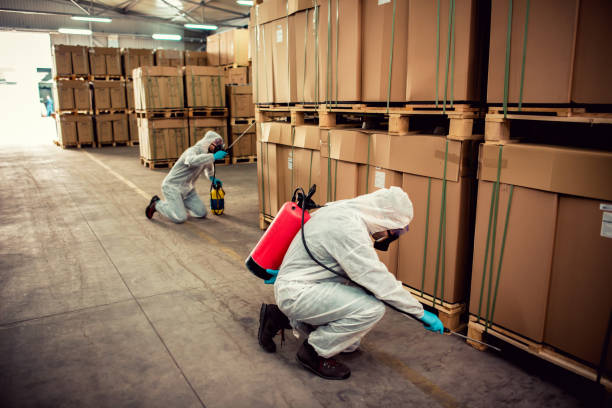 Best Affordable Pest Control Services  in Schriever, LA