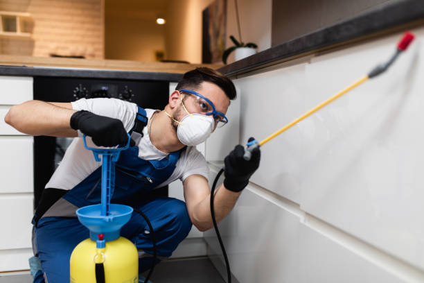 Best Flea Control Services  in Schriever, LA