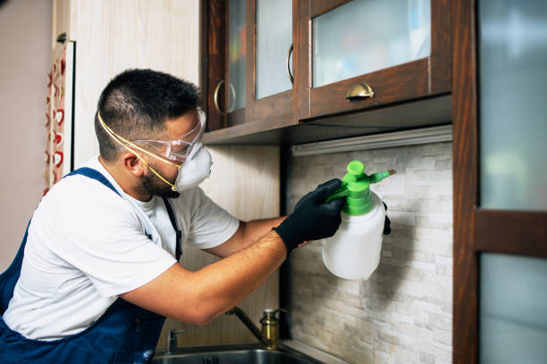 Best Residential Pest Control  in Schriever, LA