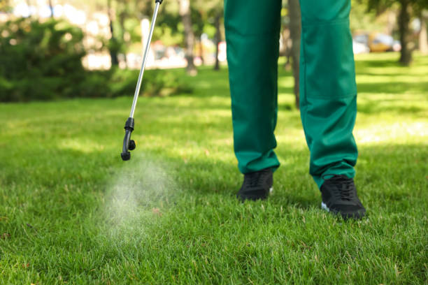 Best Spider Control Near Me  in Schriever, LA