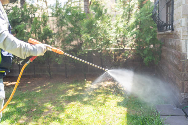 Best Best Pest Control Companies  in Schriever, LA