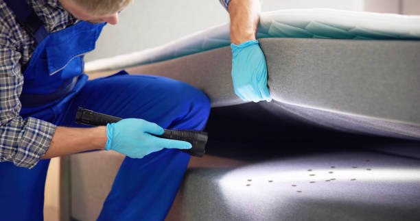 Best Pest Inspection Near Me  in Schriever, LA