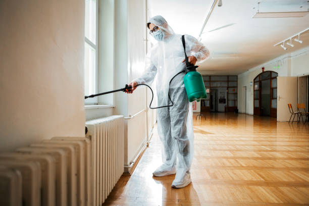 Best Emergency Pest Control  in Schriever, LA