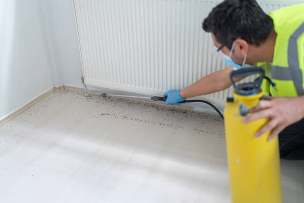Best Residential Pest Control  in Schriever, LA